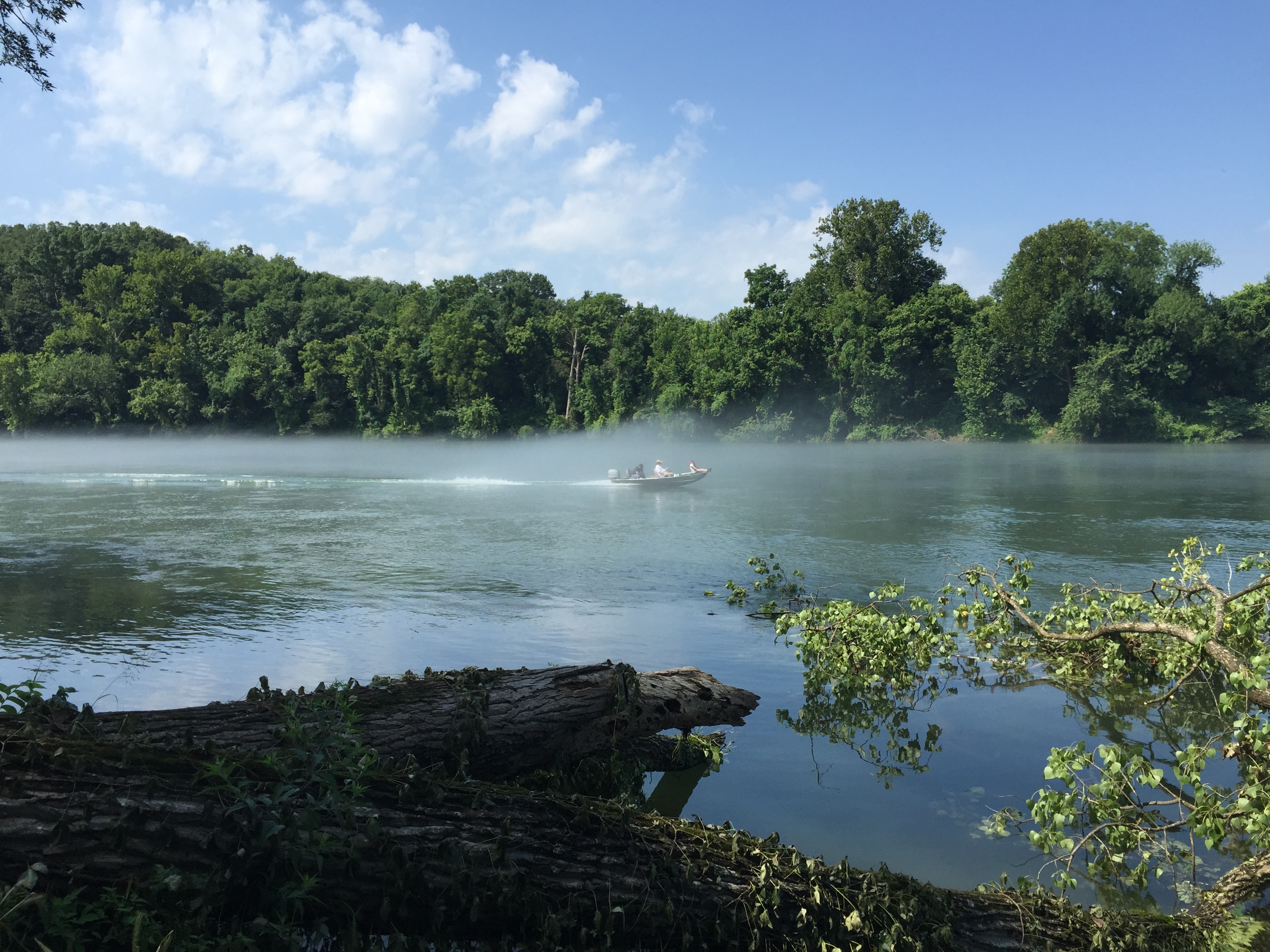 Photo of the Week Mist Off The White River Only In Arkansas