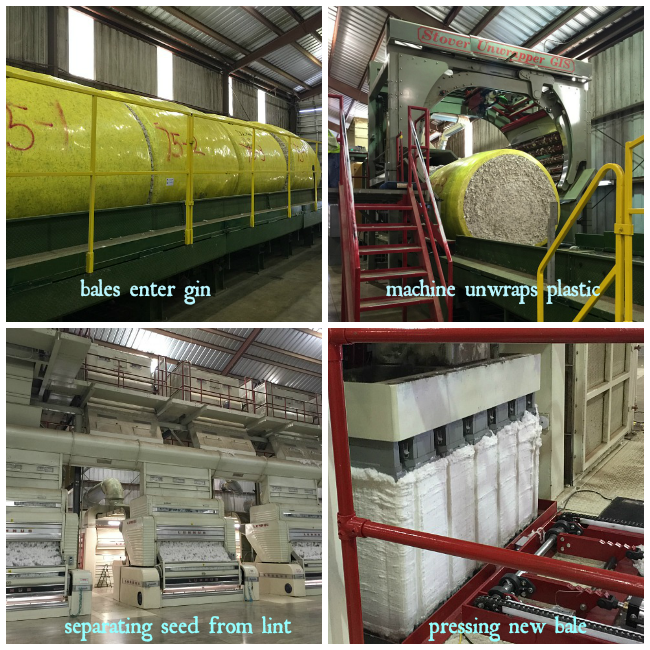 Arkansas Cotton Only In Arkansas