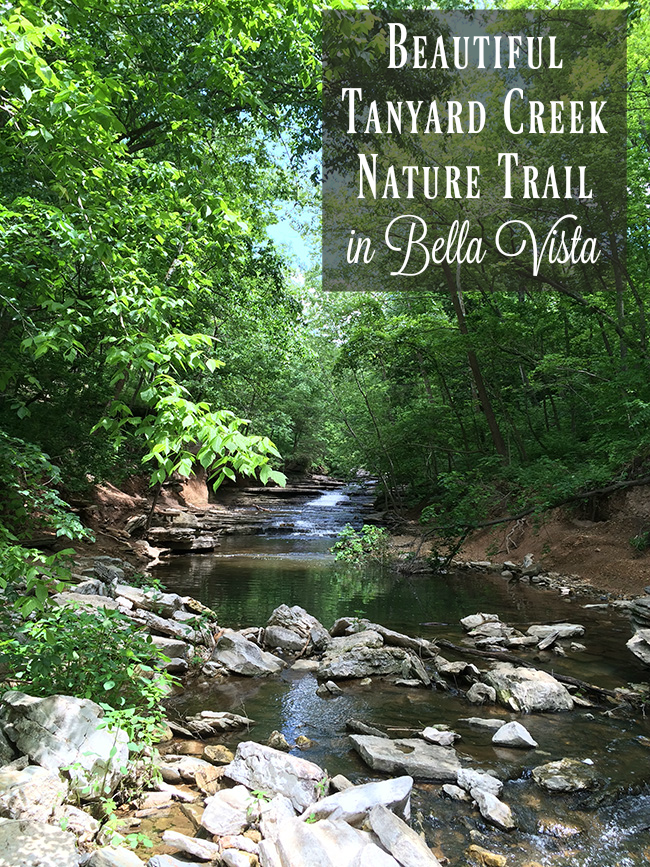 Beautiful Tanyard Creek Nature Trail in Bella Vista Only In Arkansas