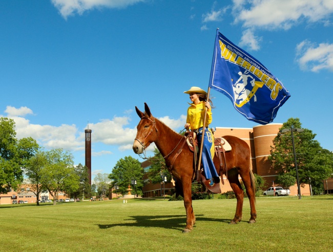 the-history-of-arkansas-mascots-only-in-arkansas