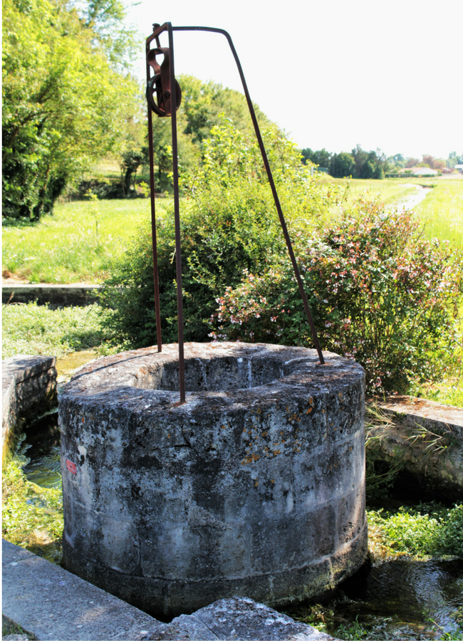 Arkansas’s Magical Water  Only In Arkansas