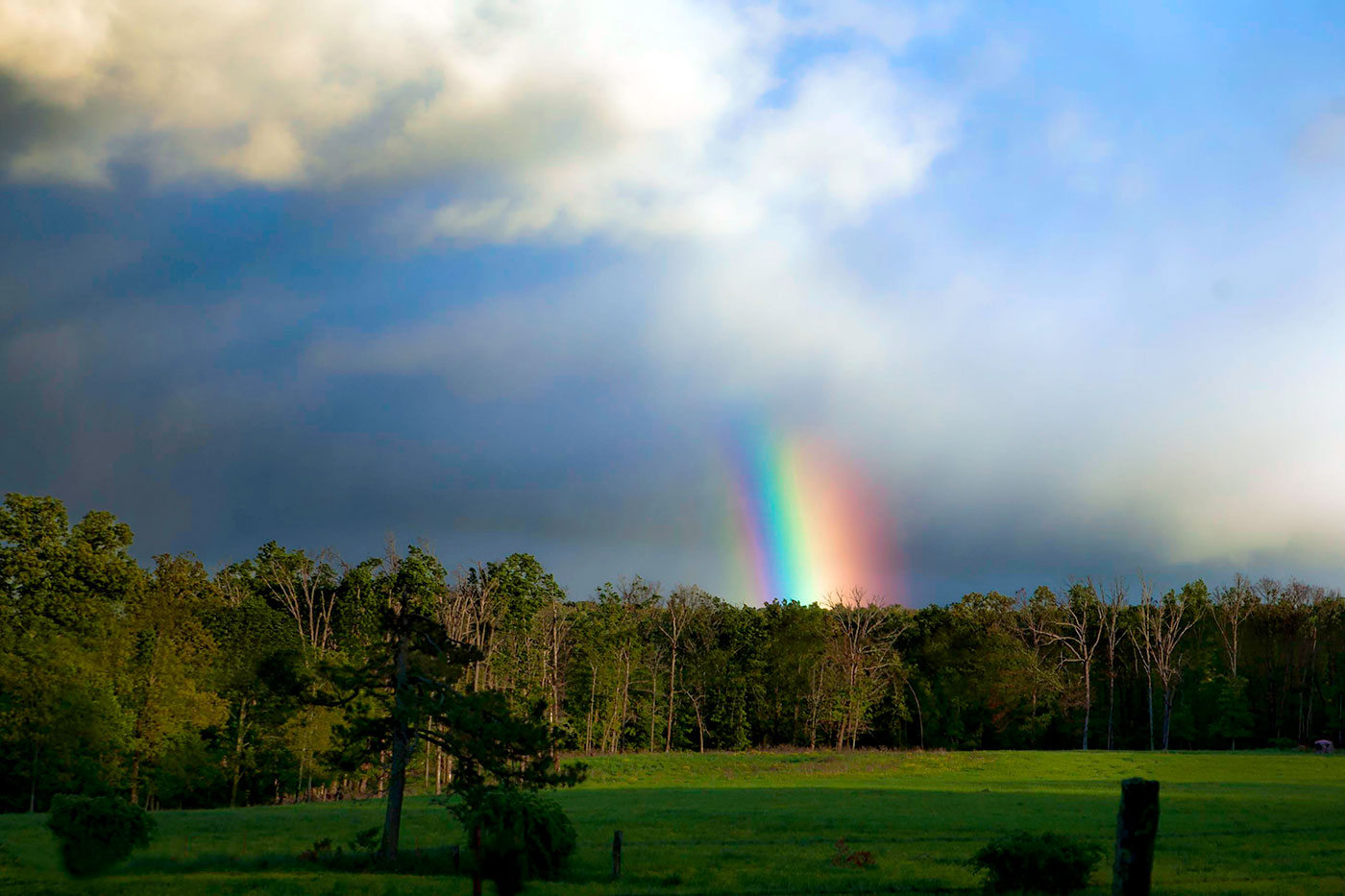 Photo by Lisa McCarley
