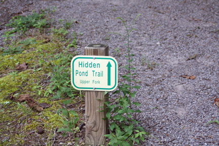 Sugar-Loaf-HiddeenPond, Hiking Sugar Loaf Mountain, Only In Arkansas