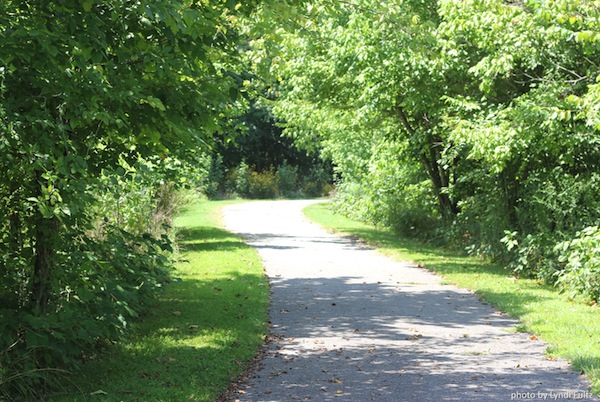 Bella Vista Tanyard Creek