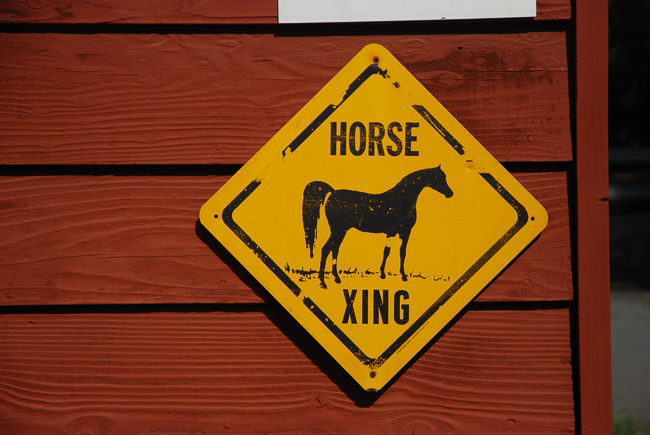 hearts and hooves-horse crossing, Horsing Around, Making a Difference