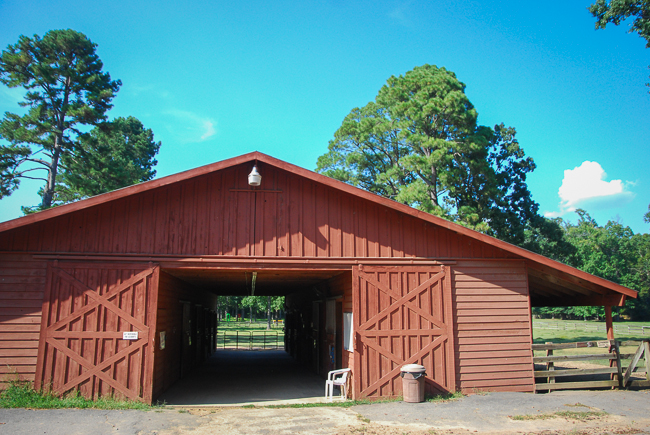 hearts and hooves-horse barn, Horsing Around, Making a Difference