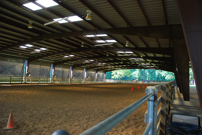 hearts and hooves-arena, Horsing Around, Making a Difference