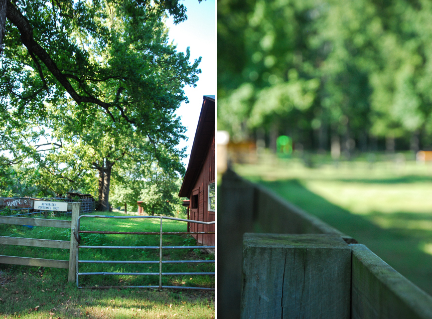 hearts and hooves-barn, Horsing Around, Making a Difference