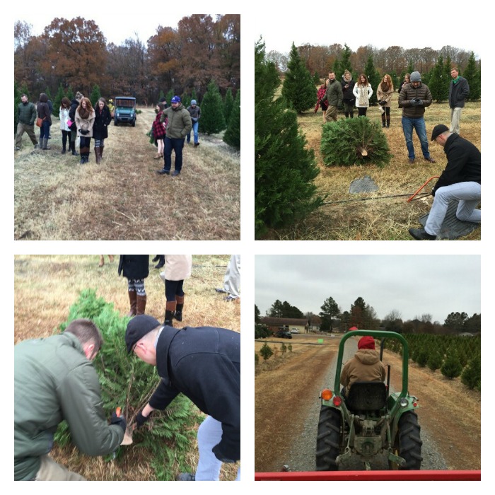 Christmas Tree Farms - Only In Arkansas