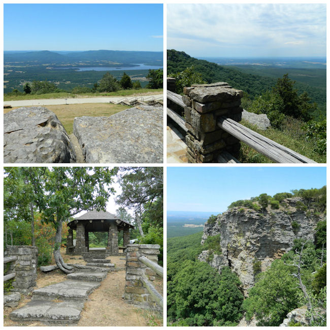 mount magazine with dog