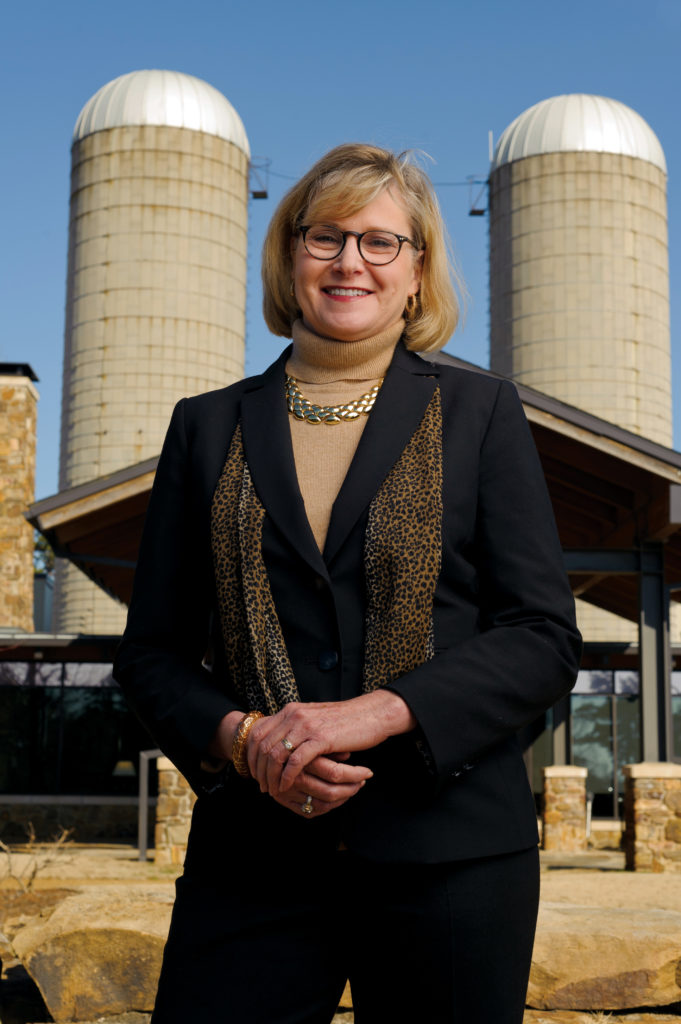 501 LIFE - Mart Loyd - silos