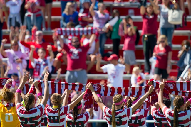 Razorback Women's Soccer Scarves