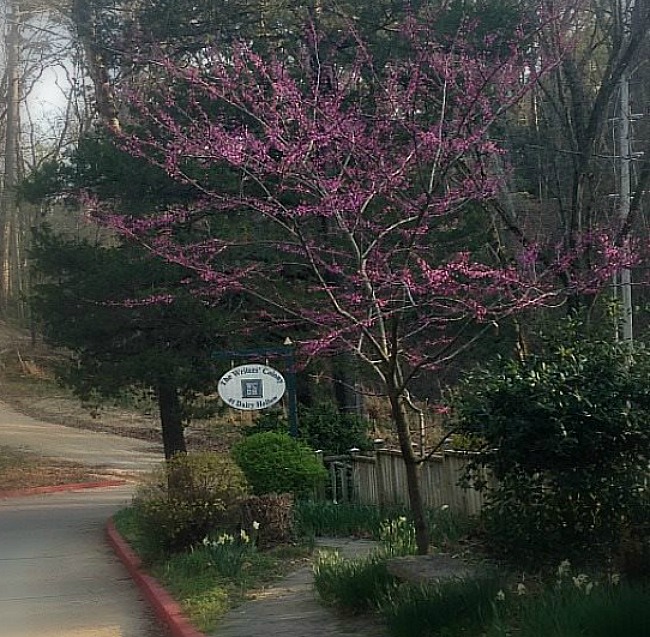 THE WRITERS' COLONY - SPRING