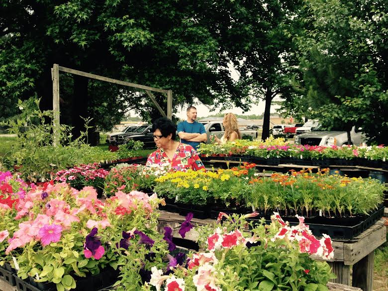 Beebe Sale Barn Only In Arkansas