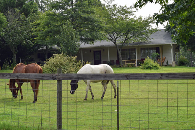 Cottage-at-Barnyard-Friends