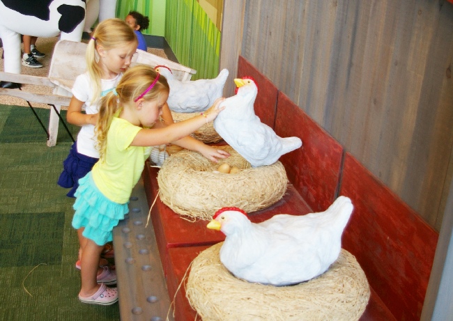 Amazeum chicken coop 2015