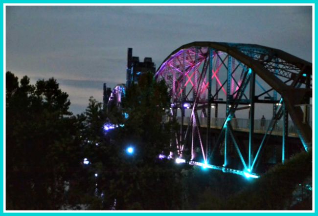 Teal Light Night
