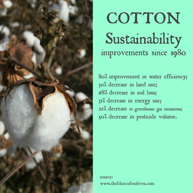 Arkansas Cotton - Only In Arkansas