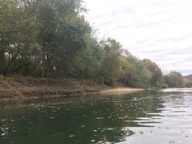2 Leaves Dimple the Water on the Buffalo River