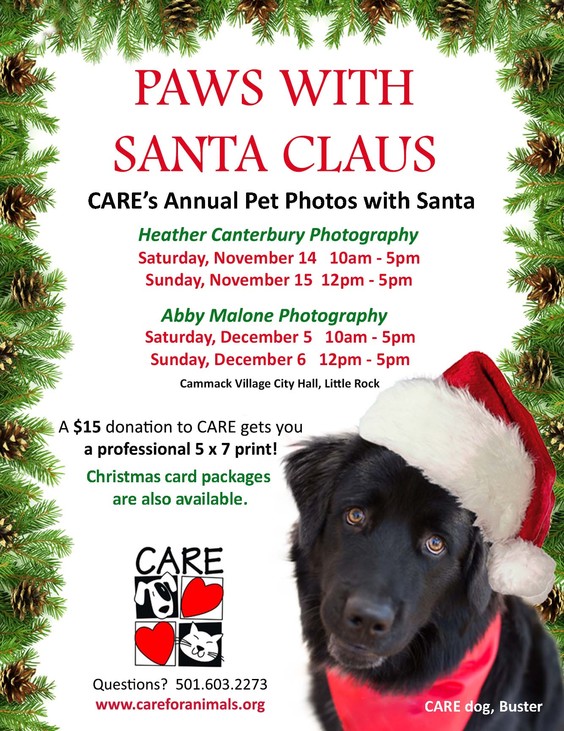 paws for a cause