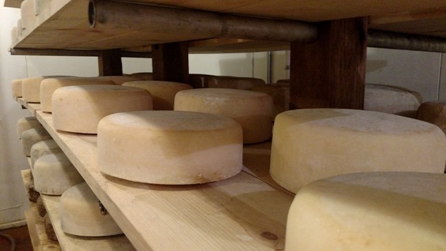 Kent Walker Artisian Cheese