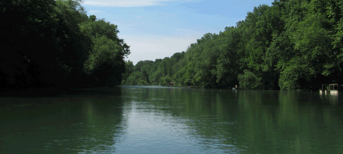 Celebrating Life on the Little Red River Only In Arkansas