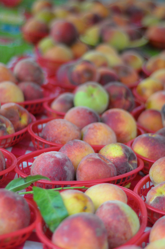 summers-end-farmers-market-1