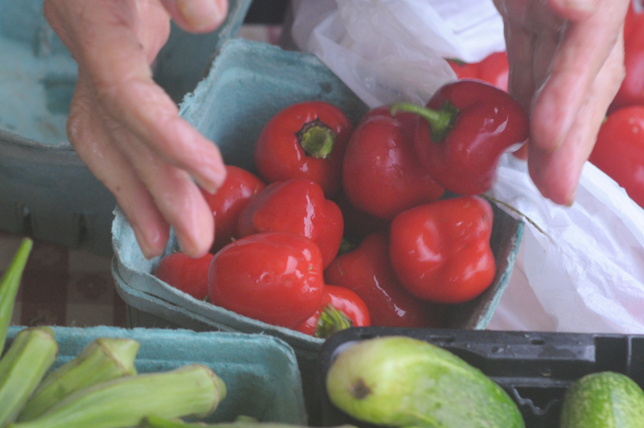 summers-end-farmers-market-3