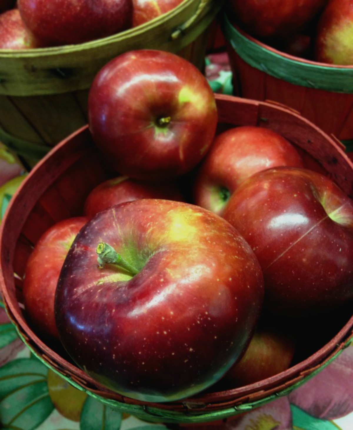 Arkansas Apple Festival - Only In Arkansas