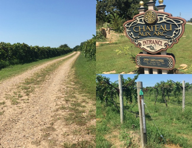 Arkansas Wine Trail - Only In Arkansas