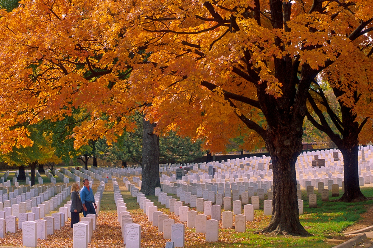 When is the federal holiday for veterans day