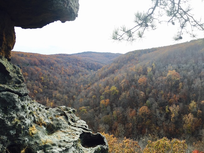 hawksbill-crag-whitaker-point-nearby-lookout-with-rocks