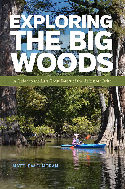 exploring-big-woods