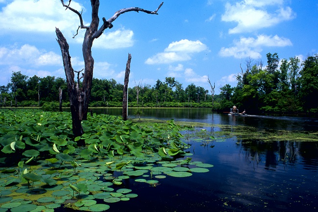 Last of the Wild Places: Arkansas National Wildlife Refuges - Only In