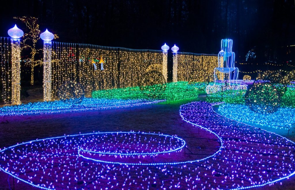 Garvan Woodland Gardens Christmas Lights Fasci Garden