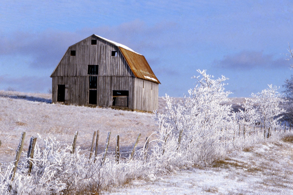 Beat the Winter Blues This Weekend Only In Arkansas