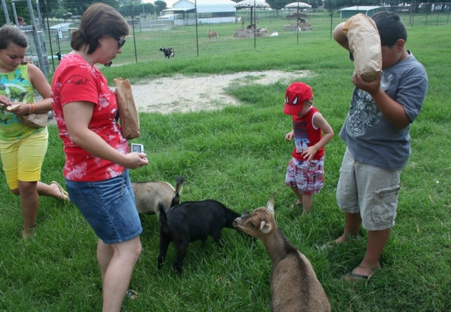 7 Fun Places To Explore With Your Toddler Only In Arkansas