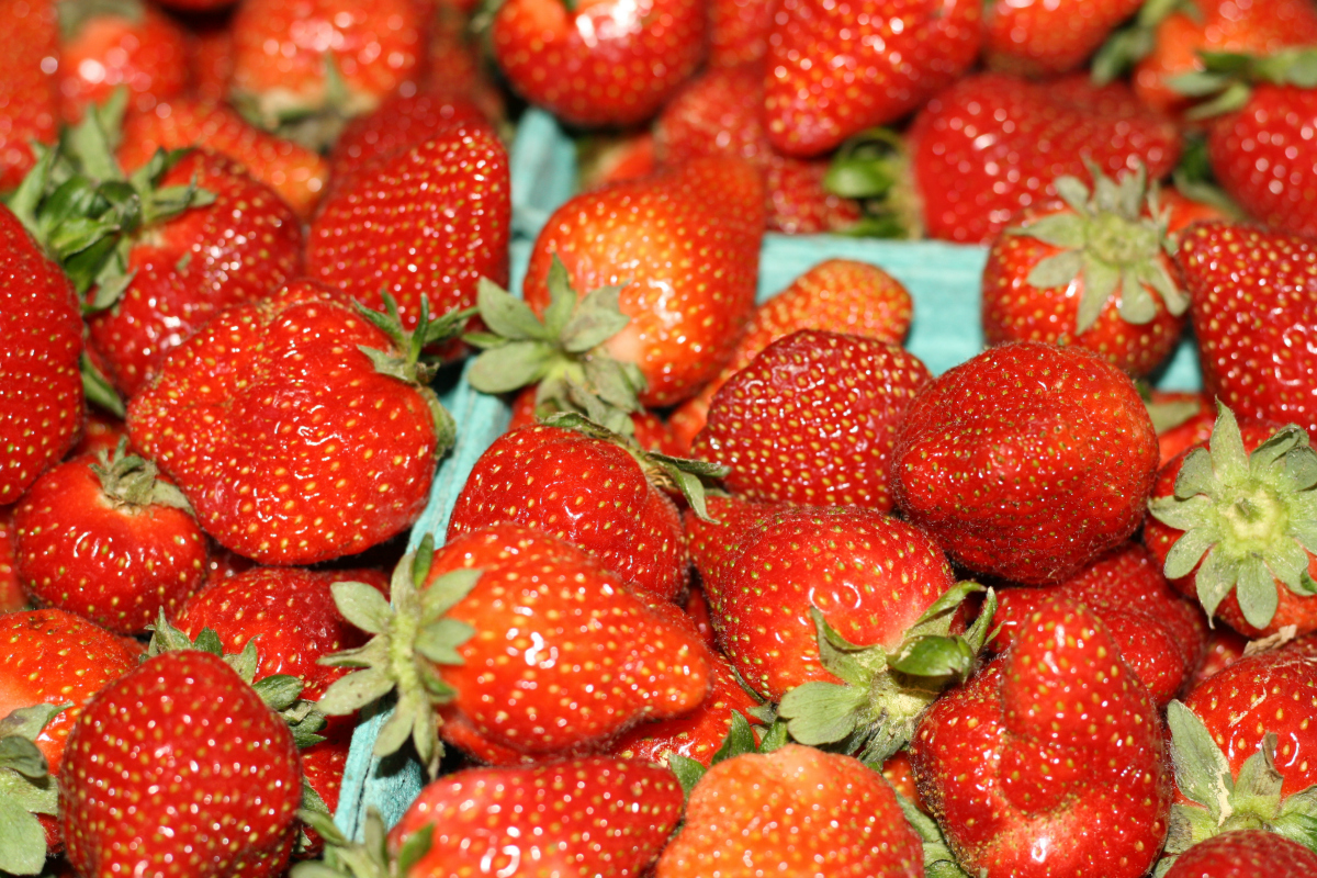 Arkansas Strawberries Only In Arkansas