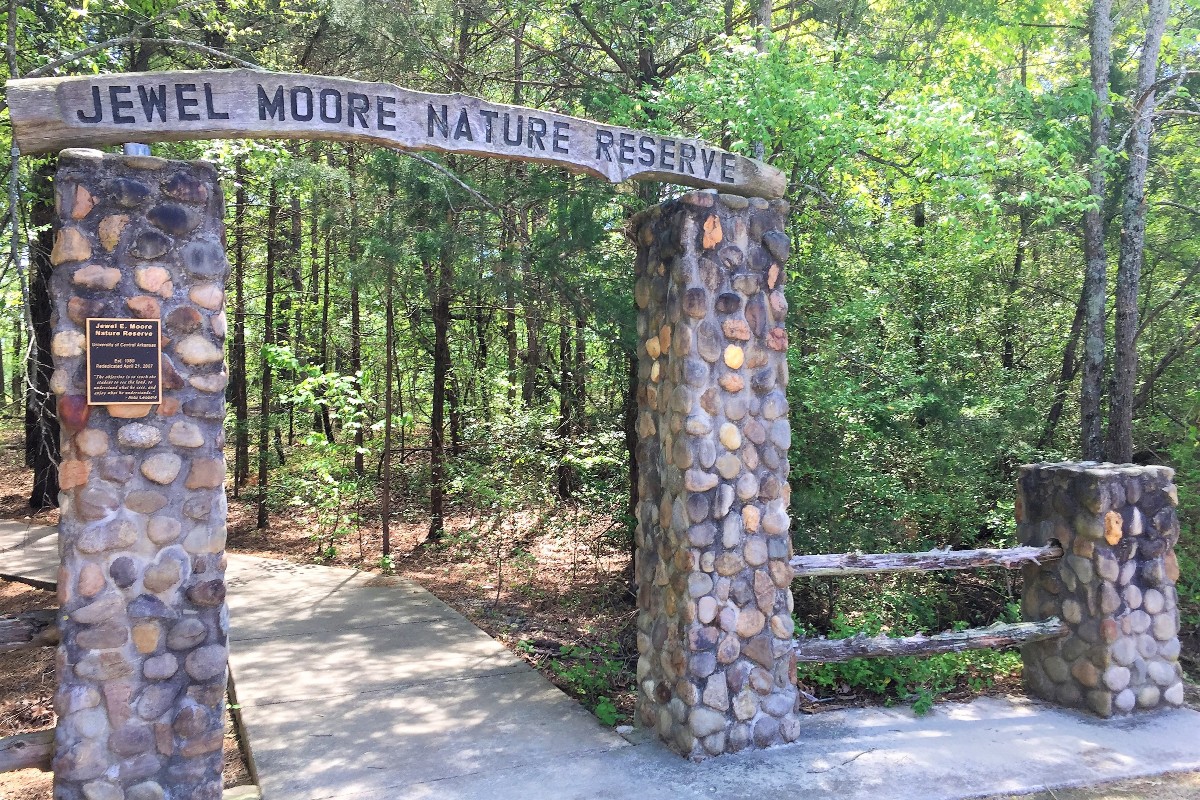 Jewel Moore Nature Reserve - Only In Arkansas