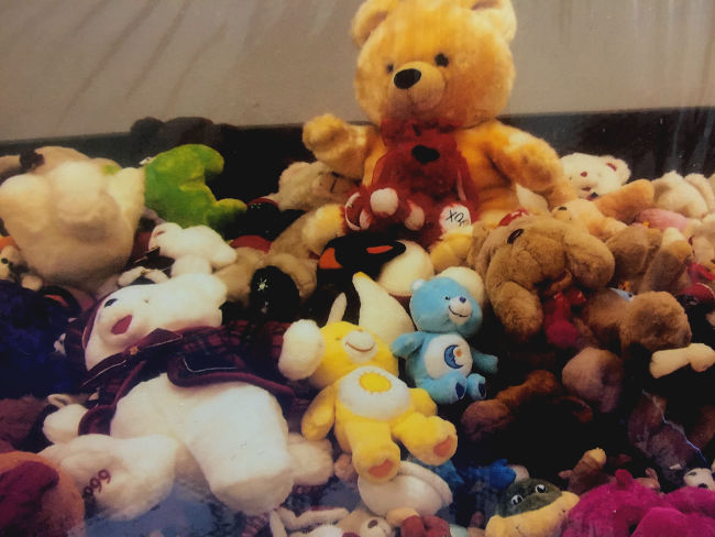 A teddy bear collection 2000