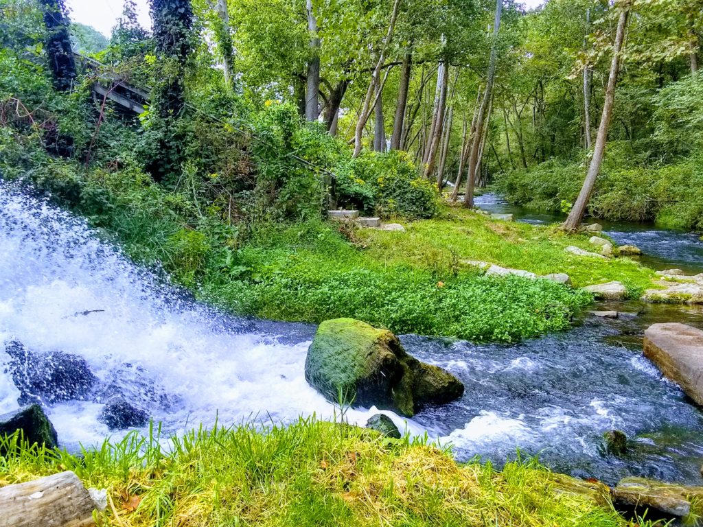 Photo of the Week Norfork Fish Hatchery Only In Arkansas
