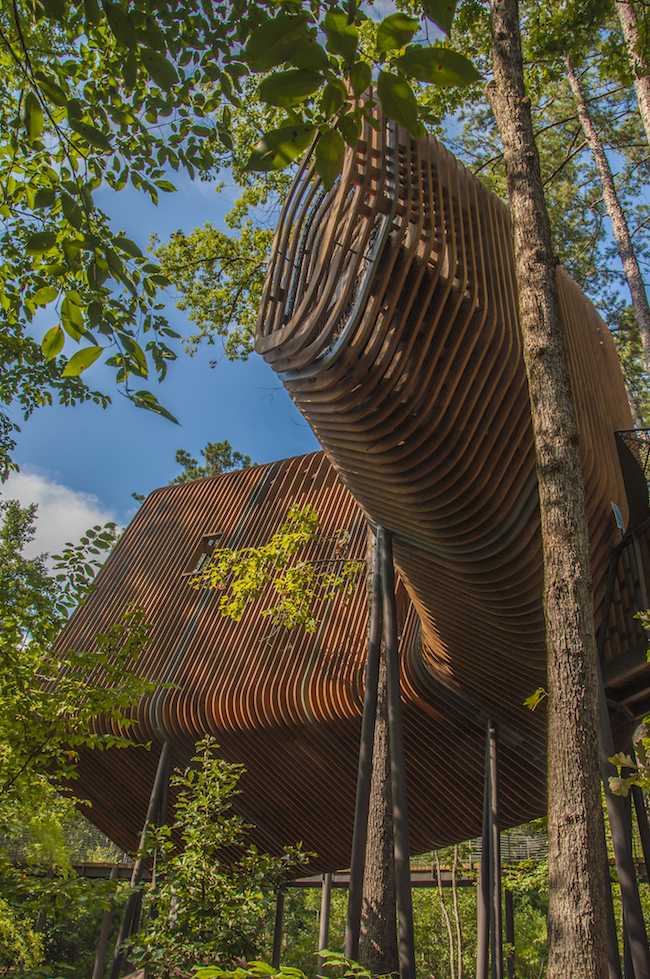 The Treehouse at Garvan Woodland Gardens Only In Arkansas