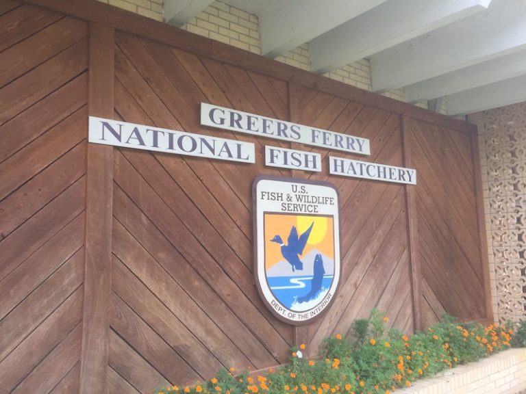 13 Things to Do in Heber Springs Only In Arkansas