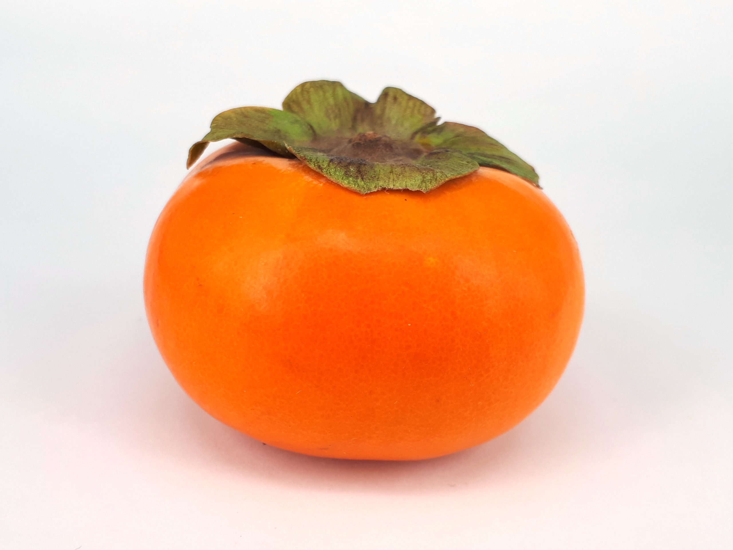 10 Wild Edible Plants in Arkansas - persimmon
