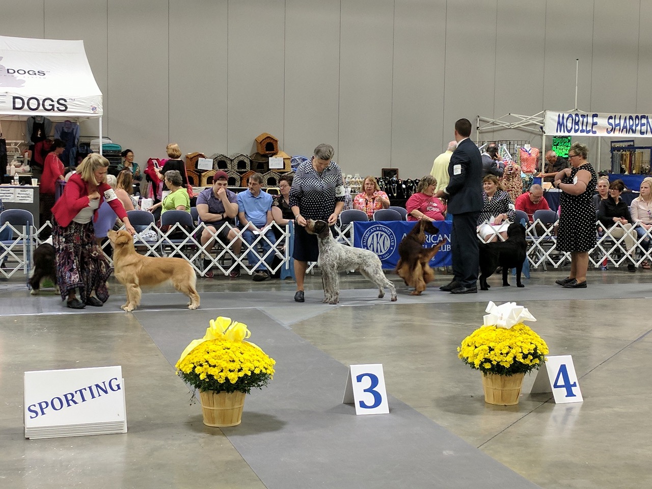 Have a Festive(al) Weekend - Sept. 25-29 | Only In Arkansas