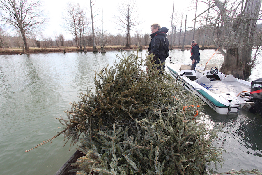 O Christmas Tree, O Fishy Tree Recycle Real Christmas Trees Only In