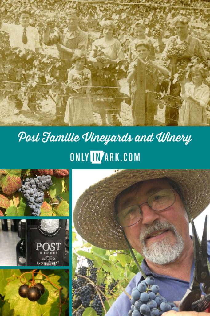 Post Familie Vineyards and Winery Only In Arkansas