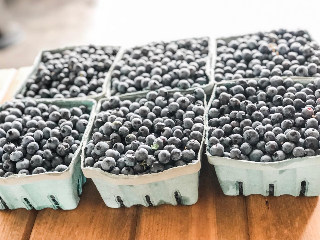 It’s Time to Pick Blueberries in Arkansas Only In Arkansas