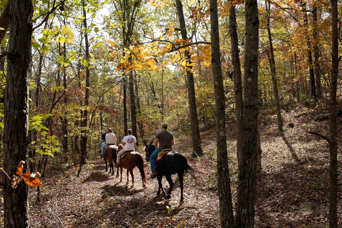 Horseback Trail Riding in Arkansas Only In Arkansas
