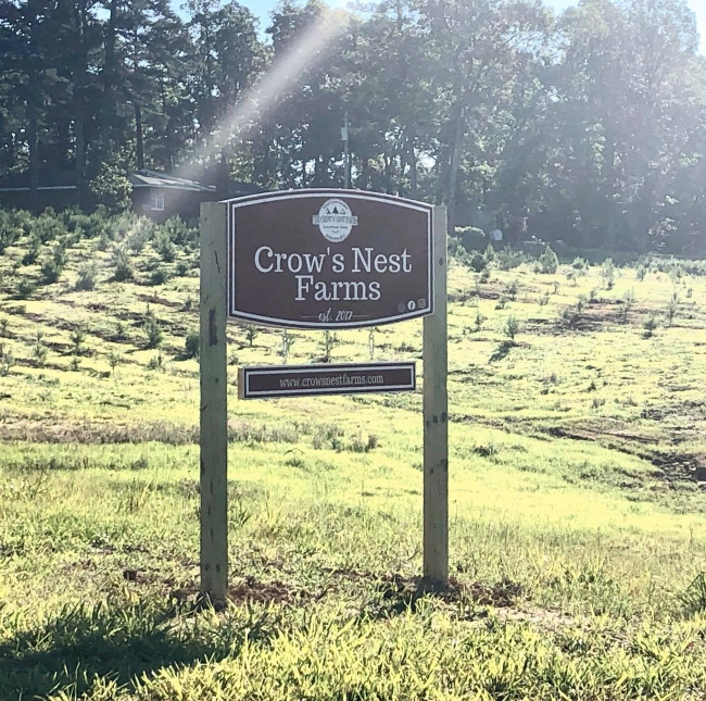 A Tale of Two Arkansas Christmas Tree Growers LaptrinhX / News